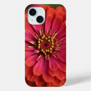 Rode zinnia - bloem iPhone 15 Hoesje