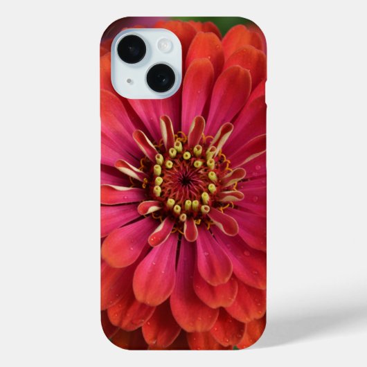 Rode zinnia - bloem iPhone 15 Hoesje (Achterkant)