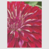 Rode Zinnia Bloemen Tissuepapier (Voorkant)