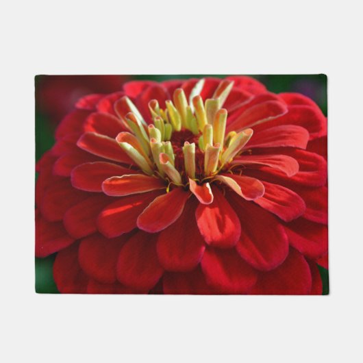 Rode zinnia deurmat (Voorkant)
