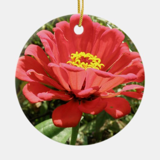 Rode Zinnia Douce Verjaardag Keramisch Ornament (Voorkant)