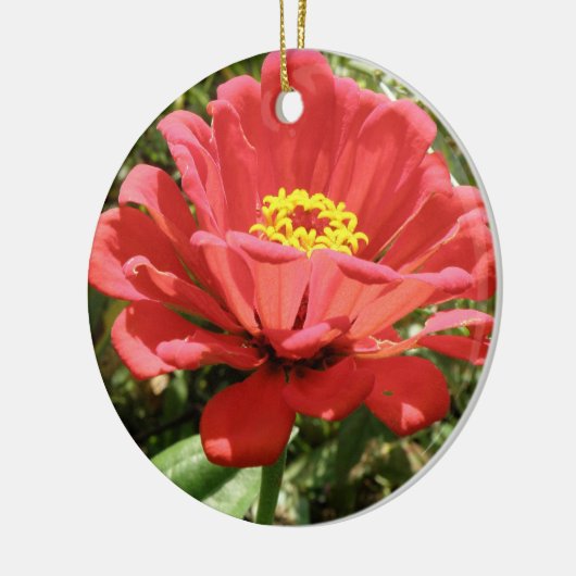 Rode Zinnia Douce Verjaardag Keramisch Ornament (Links)