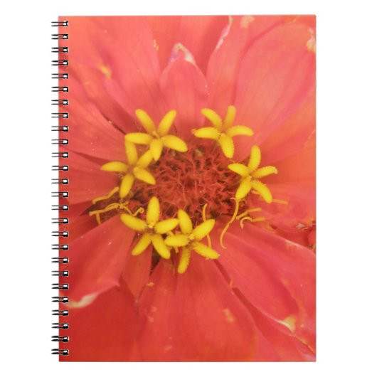 Rode Zinnia Macro Notitieboek (Voorkant)