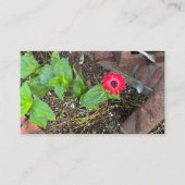 Rode Zinnia met Roestige Voorwerpen Zakelijke Kaar Visitekaartje (Voorkant)