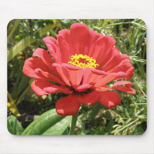 Rode Zinnia Muismat (Voorkant)