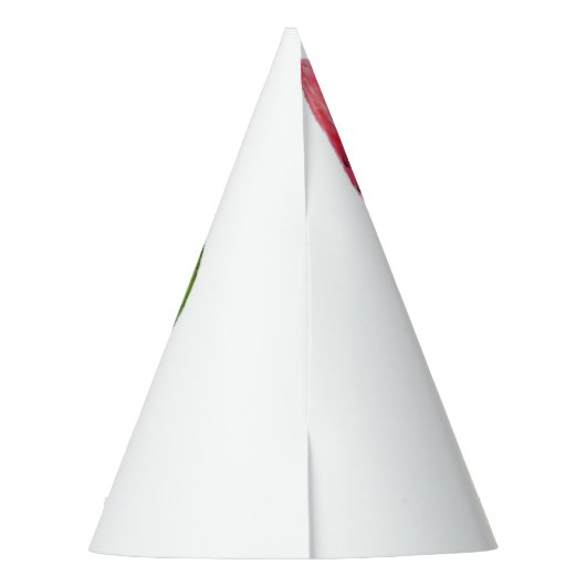 Rode zoete juicy watermeloenen — gebak — vers feesthoedjes (Achterkant)