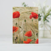 rode zomerbloem (Staand voorkant)