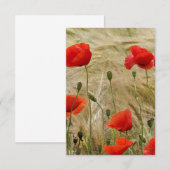 rode zomerbloem (Voorkant / Achterkant)