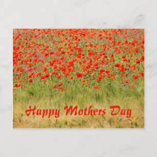 rode zomerbloem, moederdag briefkaart