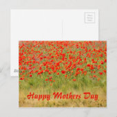 rode zomerbloem, moedersdag briefkaart (Voorkant / Achterkant)