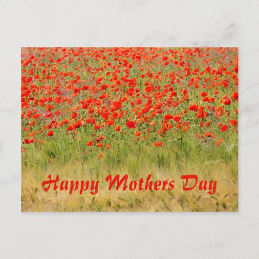 rode zomerbloem, moedersdag briefkaart (Voorkant)