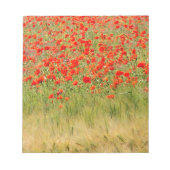 rode zomerbloem notitieblok (Voorkant)