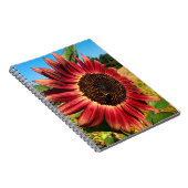 Rode zonnebloem met bijen notitieboek (Rechterzijde)