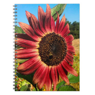 Rode zonnebloem met bijen notitieboek