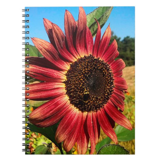 Rode zonnebloem met bijen notitieboek (Voorkant)