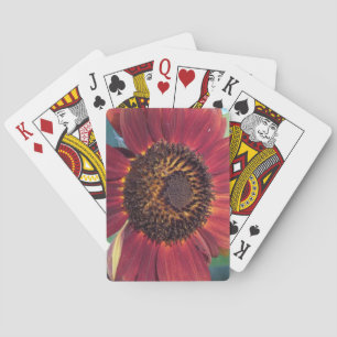 Rode zonnebloem pokerkaarten