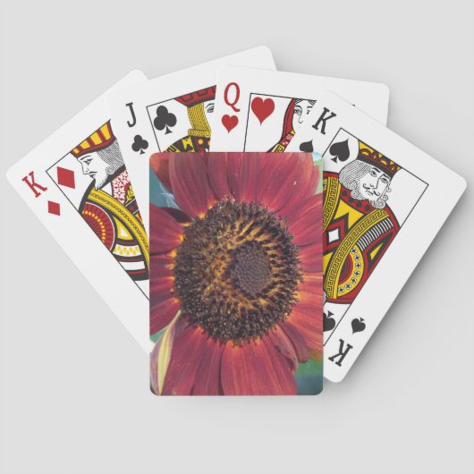 Rode zonnebloem pokerkaarten (Achterkant)