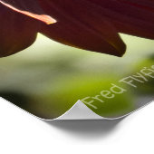 Rode zonnebloem poster (Hoek)