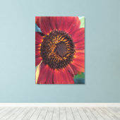 Rode Zonnebloem Verpakte Canvas print (Insitu (Houten vloer))