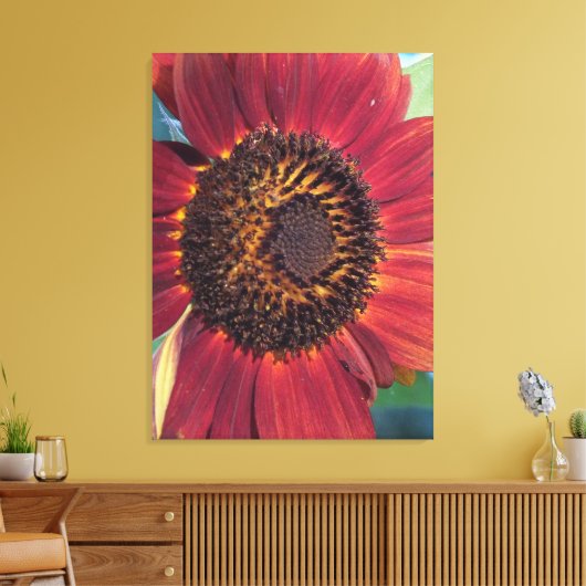Rode Zonnebloem Verpakte Canvas print (Insitu (Woonkamer))