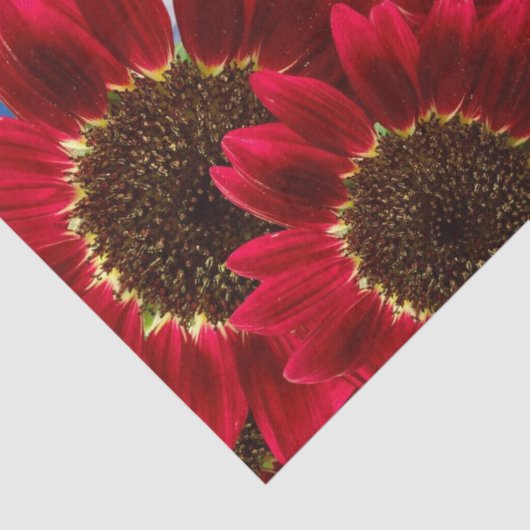 Rode zonnebloemen en blauwe hemden - Weefselpapier Tissuepapier (Detail)