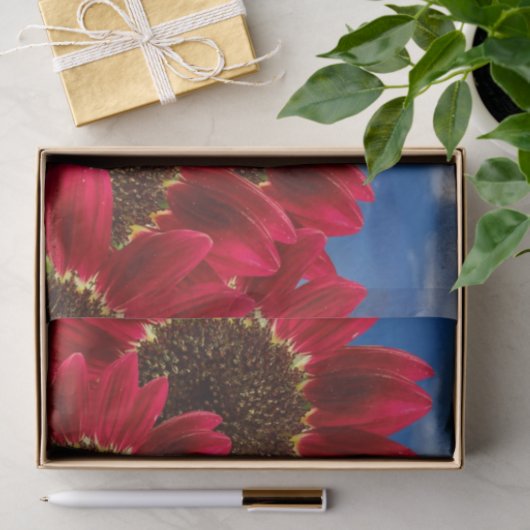 Rode zonnebloemen en blauwe hemden - Weefselpapier Tissuepapier (Geschenk)