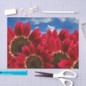 Rode zonnebloemen en blauwe hemden - Weefselpapier Tissuepapier (Craft)