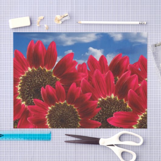 Rode zonnebloemen en blauwe hemden - Weefselpapier Tissuepapier (Craft)