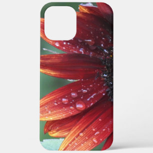 Rode zonnebloempitten en regenval Case-Mate iPhone case