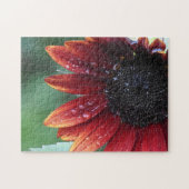 Rode zonnebloempitten en regenval legpuzzel (Horizontaal)