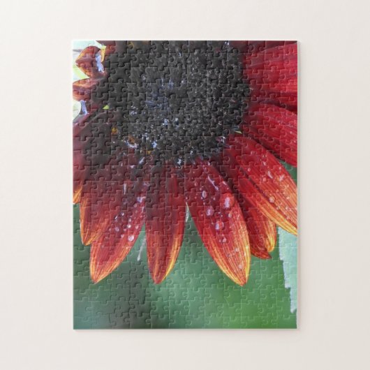 Rode zonnebloempitten en regenval legpuzzel (Verticaal)