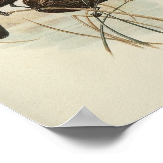  rode zwarte Bird Print (Hoek)