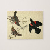  rode zwarte buisscharrelschotel legpuzzel (Horizontaal)