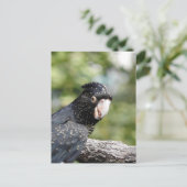 Rode zwarte cocaïne briefkaart (Staand voorkant)