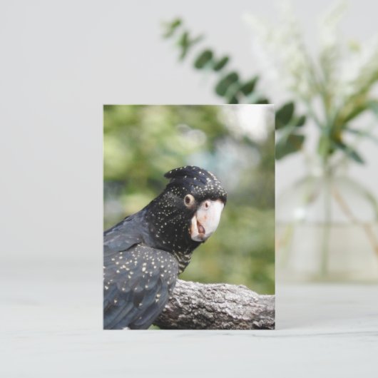 Rode zwarte cocaïne briefkaart (Staand voorkant)