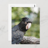 Rode zwarte cocaïne briefkaart (Voorkant / Achterkant)