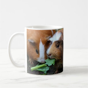 Rode, zwarte en witte cavia's eten greens koffiemok