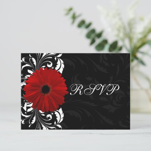 Rode, Zwarte en Witte Scroll Gerbera Daisy RSVP (Staand voorkant)