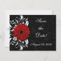 Rode, Zwarte en Witte Scroll Gerbera Daisy
