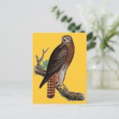 Rode zwarte Hawk Briefkaart (Staand voorkant)