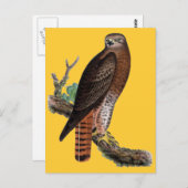 Rode zwarte Hawk Briefkaart (Voorkant / Achterkant)