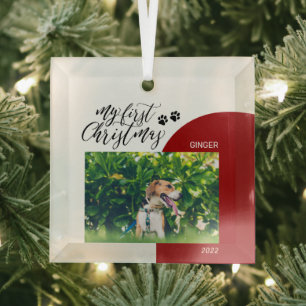 Rode & Zwarte Puppy Poot Eerste Kerst Foto Glas Ornament