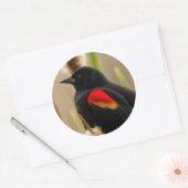 Rode Zwarte vogel op de Bulrush Ronde Sticker (Envelop)