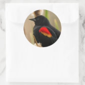 Rode Zwarte vogel op de Bulrush Ronde Sticker (Tas)