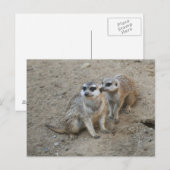 Rodekaart ansichtkaart briefkaart (Voorkant / Achterkant)