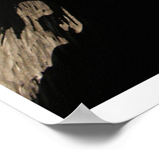 Rodent Poster (Hoek)