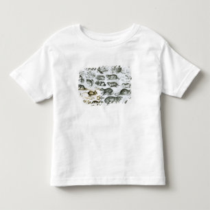 Rodentia- knaagdieren kinder shirts