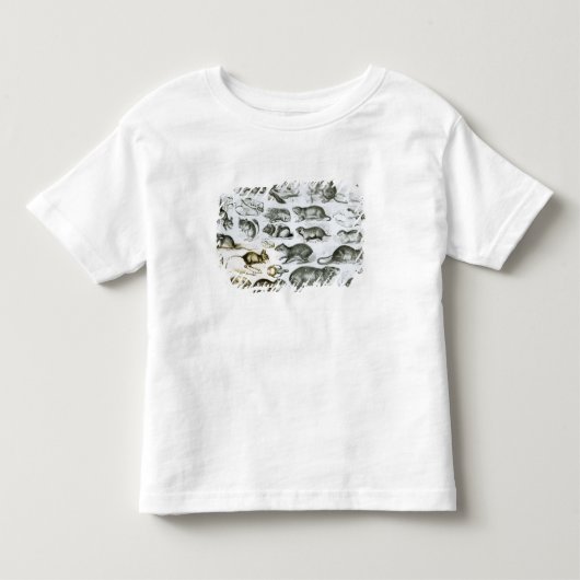 Rodentia- knaagdieren kinder shirts (Voorkant)
