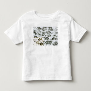 Rodentia- knaagdieren kinder shirts