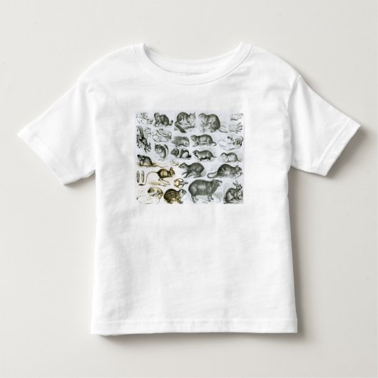 Rodentia- knaagdieren kinder shirts (Voorkant)